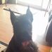 Barbara Barnette - Facebook