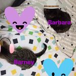 Barbara & Barney - @barbara_and_barney - Instagram