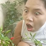 Barbara Barney - @barbara.barney.330 - Instagram