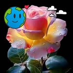 Barbara Barney Susan - @rhino.987071 - Instagram