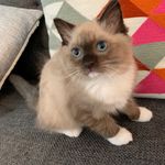 Barbara Anne Barnicke - @barbara.barnicke - Instagram