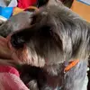 Barbara Barnwell967 - @barbarabarnwell96 - TikTok