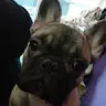 Barbara Barranco - @barbiebarranco - TikTok