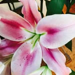Barbara Barratt - @barbara_barratt - Instagram