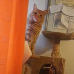 Barbara Barraza - @barbara.barraza.79 - Instagram