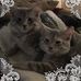Barb Barthel - Facebook