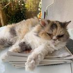 Barbara Barthel - @barbara.barthel.984 - Instagram
