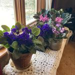 Barbara Barthel - @grannyb.18 - Instagram