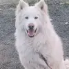 Barbara Barthel - @barbarabarthel7 - TikTok