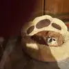 Barbara Barthelemy - @barbara.barthelem - TikTok