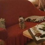 Bonnie Ba - @barbara.barthel.10 - Instagram