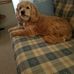 Barbara Bartholomew - Facebook