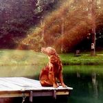 Barbara Bartholomew - @barbarth - Instagram