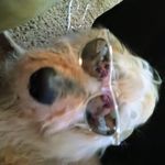 Barbara Lightner Bartholomew - @lightnerbartholomew - Instagram