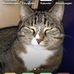 Barbara Bartner - Facebook