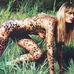 Barbara Barto - Facebook