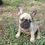Barbara Bartolozzi - @bartolozzibarbara - Instagram