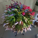 Barbara Bartoli - Facebook