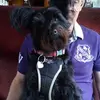 Barbara Barton - @barbarabarton - TikTok