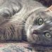 Barbara Bartow - Facebook
