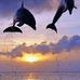 Barbara Bartow - Facebook