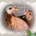 Barbara Bartrug Dean - Facebook