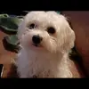 barbara baruffaldi - @barbara.baruffald - TikTok