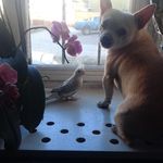 Barbara Basso - @barbara.basso.3511 - Instagram