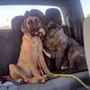 Barbara Basso - @barbara.basso2 - TikTok