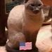 Barbara Beaudin - Facebook
