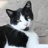 barbarabedard - @barbarabedard - TikTok