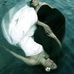 Barbara Bedini - Facebook