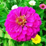 barbara_bedini - @barbara_bedini70 - Instagram