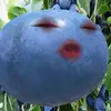 barbara.bee3 - @barbara.bee3 - TikTok