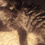 Barbara Beech - @barbara.beech.988 - Instagram