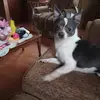 Barbara Beeman - @barbara.beeman - TikTok