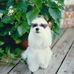 Barbara Behal - Facebook