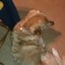 Barb Behm - Facebook