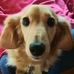 Barb Behm - Facebook