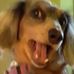 Barbara Behm - Facebook