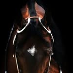 Barbara Behnke - @barbara.behnke70 - Instagram