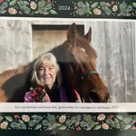 Barbara Beier Reynolds - @barbarajanehorses - Instagram