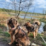 Barbara Beinroth - @barbarabeinroth - Instagram