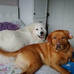 Barbara Belanger - @barbarabelanger57 - Instagram