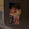 𝓑𝓪𝓻𝓫𝓪𝓻𝓪 𝓑𝓮𝓵𝓮𝓷 - @nee_grita - TikTok