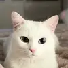 bellaaa.barbara - @bellaaa.barbara - TikTok