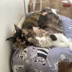 𝓑𝓪𝓻𝓫𝓪𝓻𝓪 & 𝓑𝓮𝓵𝓵𝓮 - @barbara_and_belle - Instagram