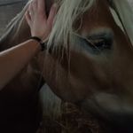 Barbara Bellé - @barbara.belle.1428 - Instagram