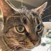Barbara Beller - Facebook