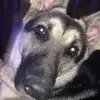 barbara bello - @barbiebm10 - TikTok